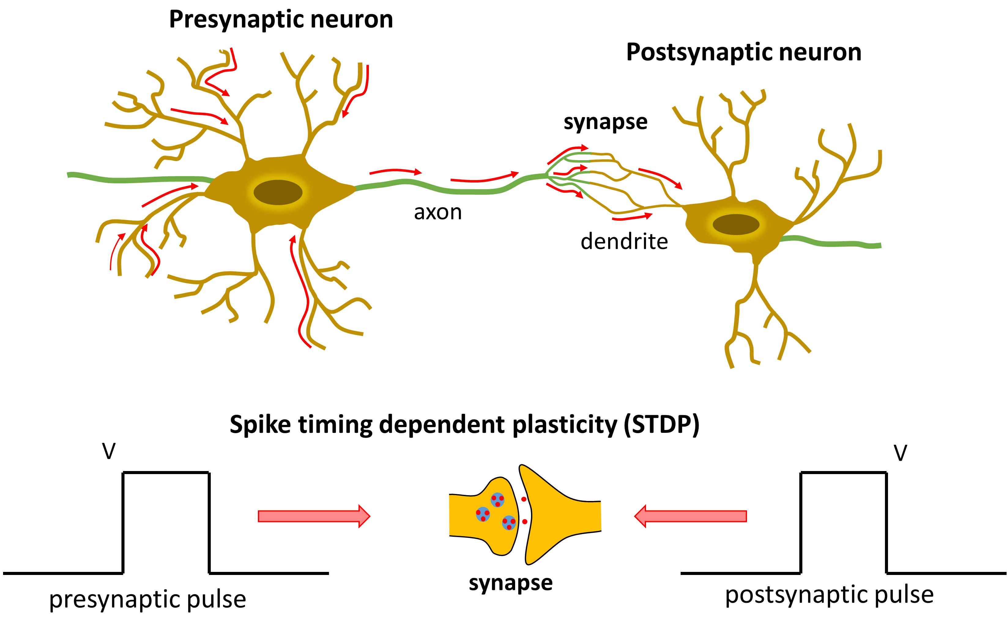 Memristors – Kemp Nano Electronics Group
